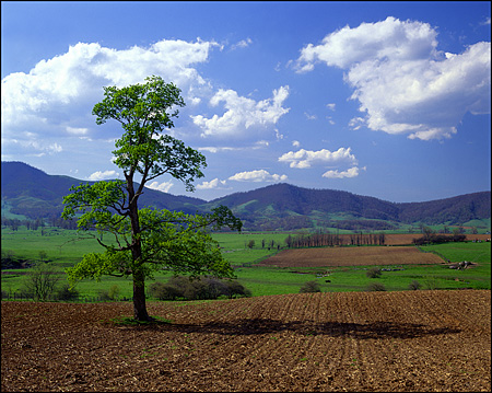 Burke's Garden in Early Spring, Tazewell County, VA